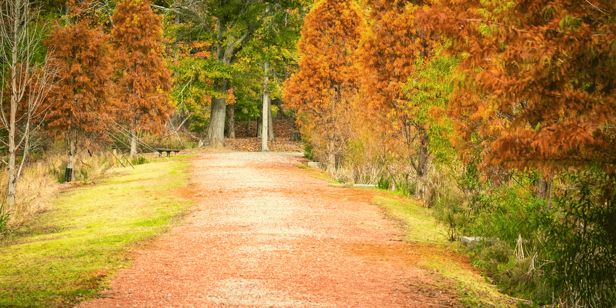 North Augusta park trail